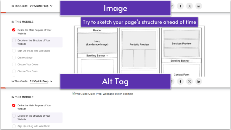 Wix Guide Portfolio Site Module 8, example of alt tag on site