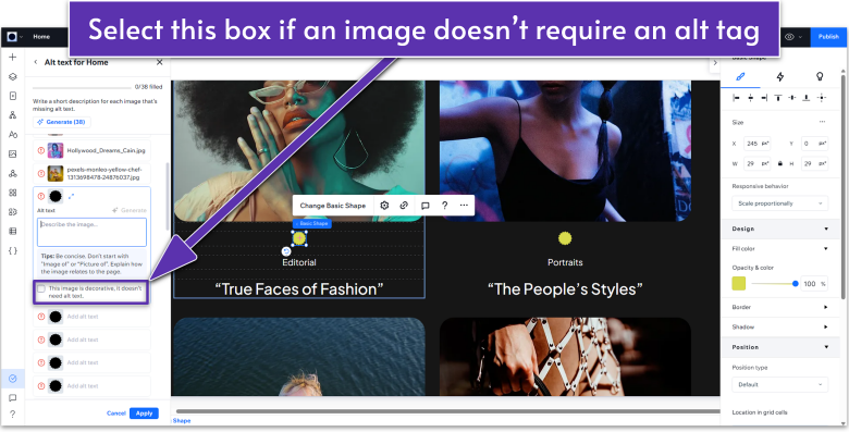 Wix Guide Portfolio Site Module 8, setting image as decorative in accessibility wizard