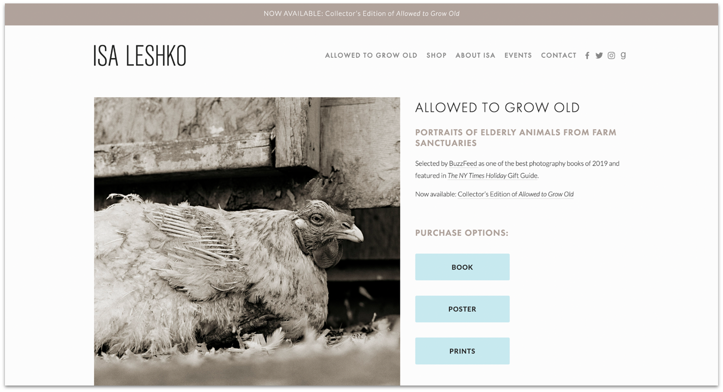 Isa Leshko homepage made with Squarespace