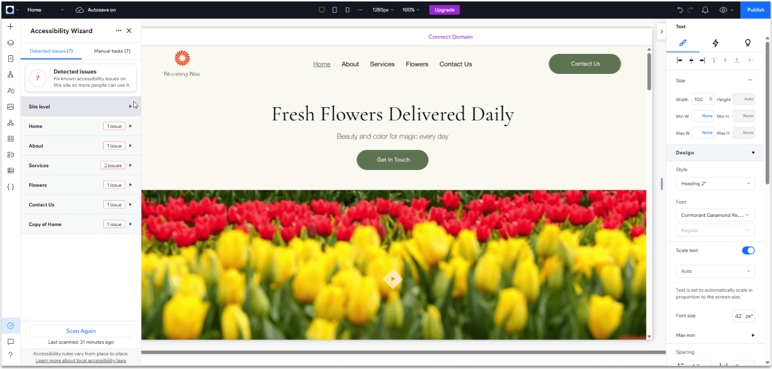 Wix Guide Local Business Site Module 8, changing other settings from the accessibility wizard