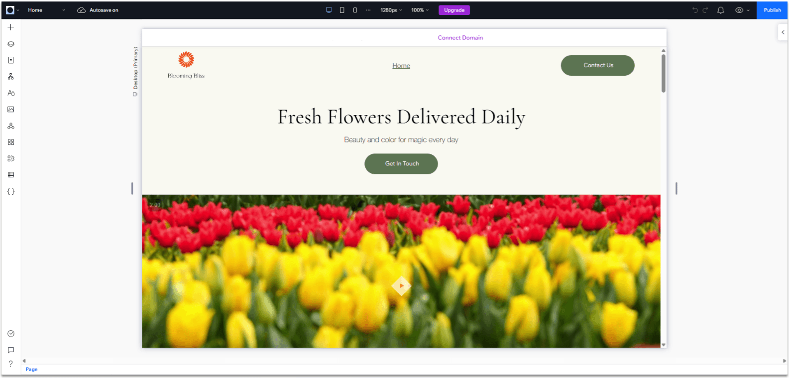 Wix Guide Local Business Site Module 8, accessibility wizard scan