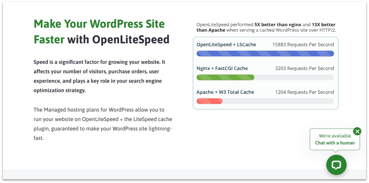 ScalaHosting’s plans are WordPress-optimized