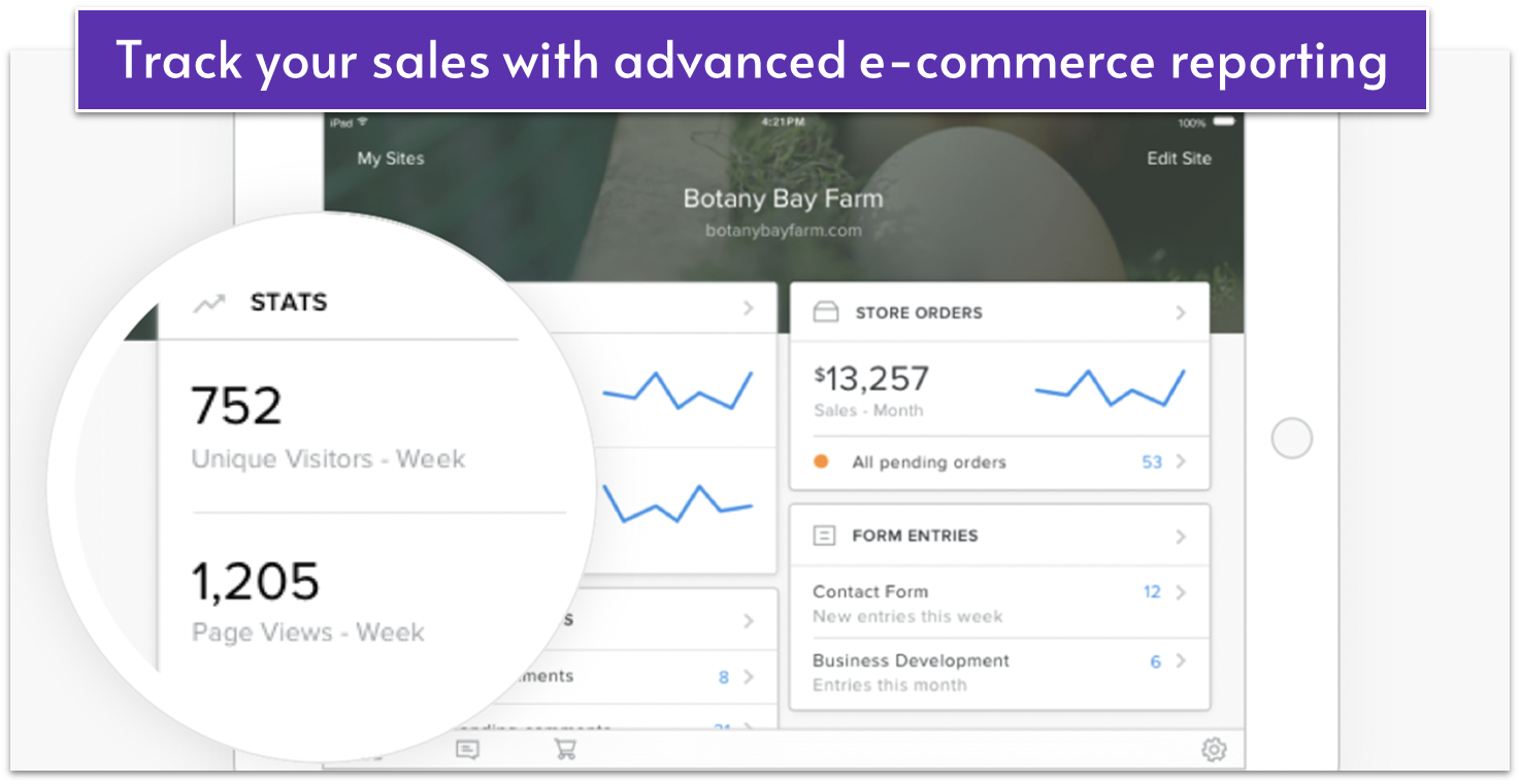 Weebly stats panel on tablet