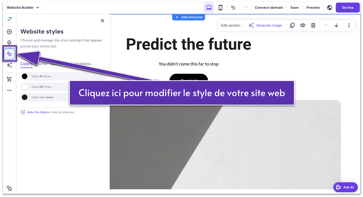 Paramètres de style de site Hostinger