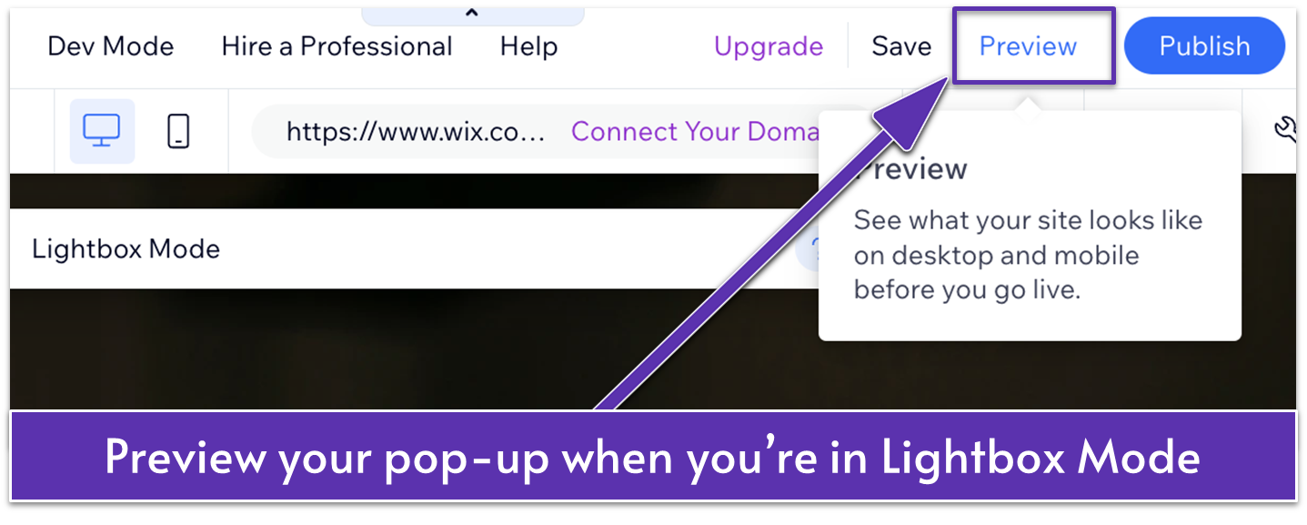 Wix Lightbox Mode, highlighting "Preview"
