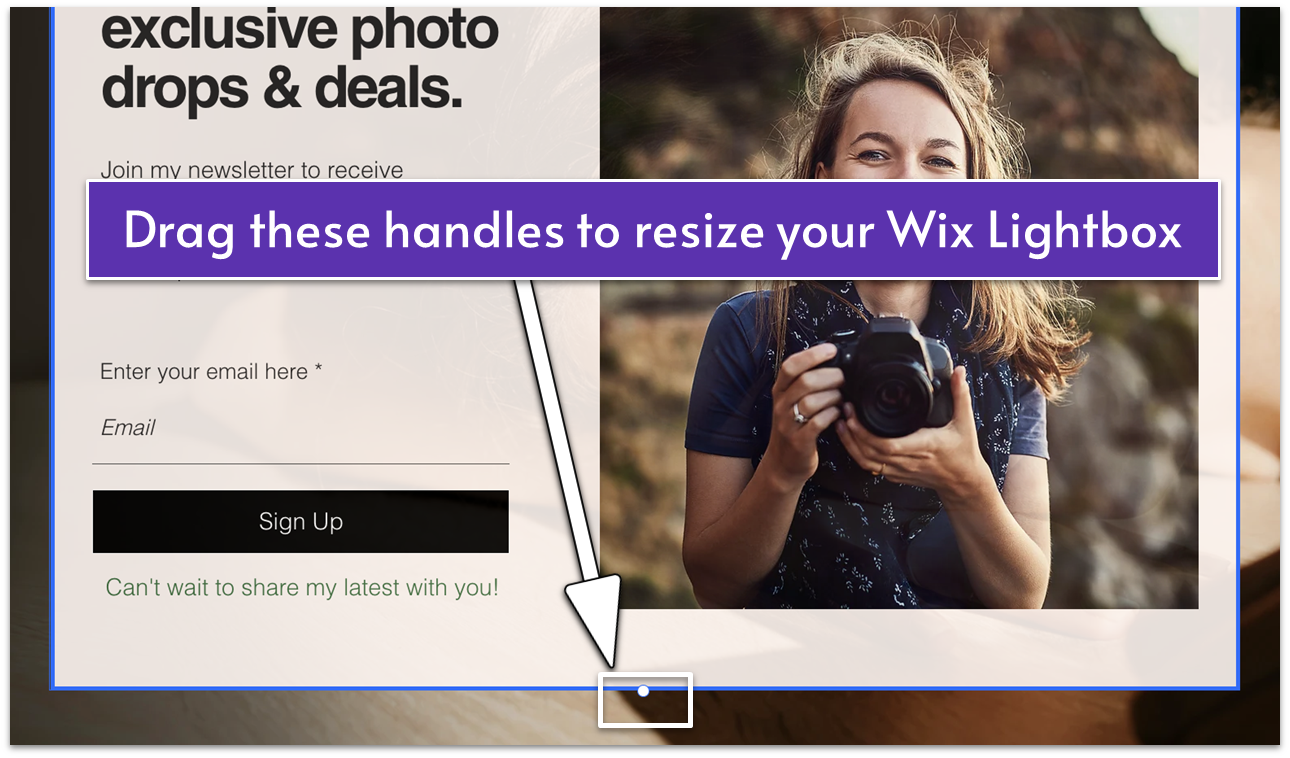 Wix Lightbox selected with blue outline