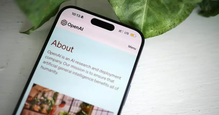 Ex-OpenAI Employees Back Musk’s Case Against the Startup