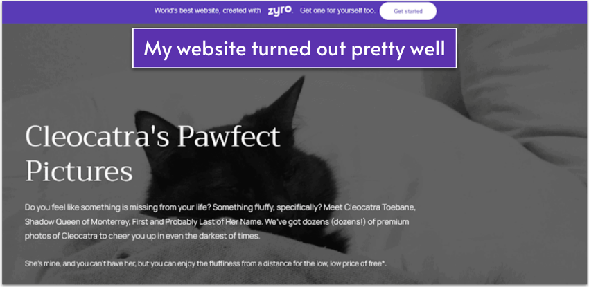 A Zyro website example