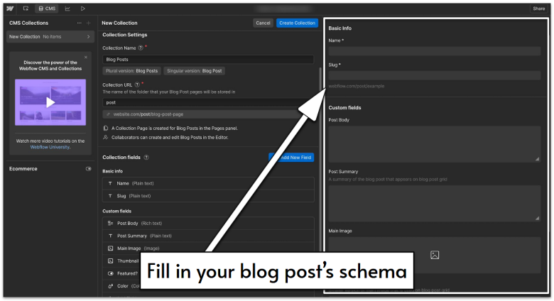 Webflow's CMS Collections settings