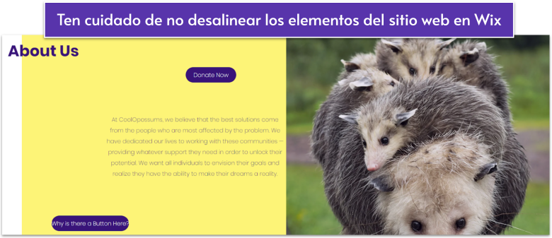 A screenshot of a Wix website with slightly misaligned elements