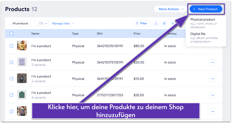 Wix Produkteinrichtung