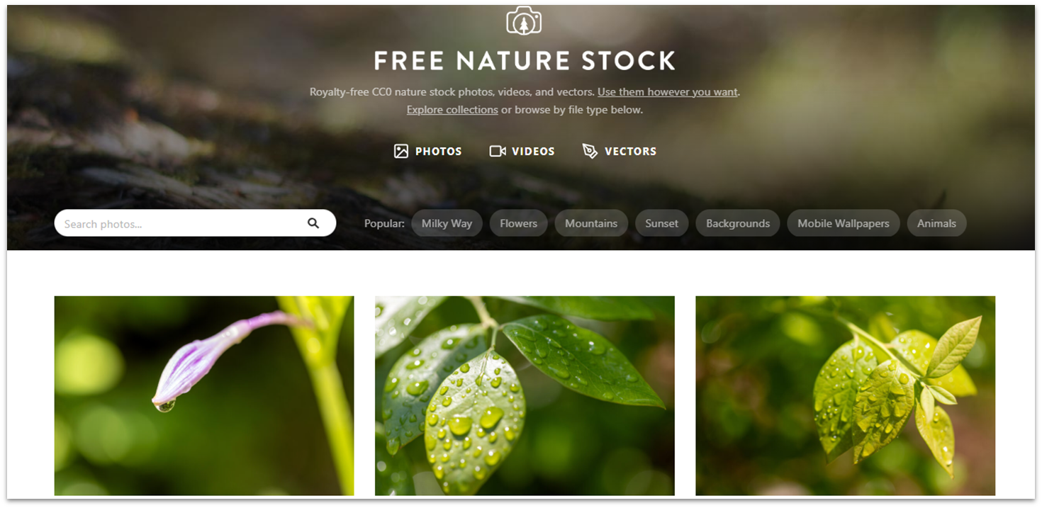Home of Free Nature Stock website with images of leaves