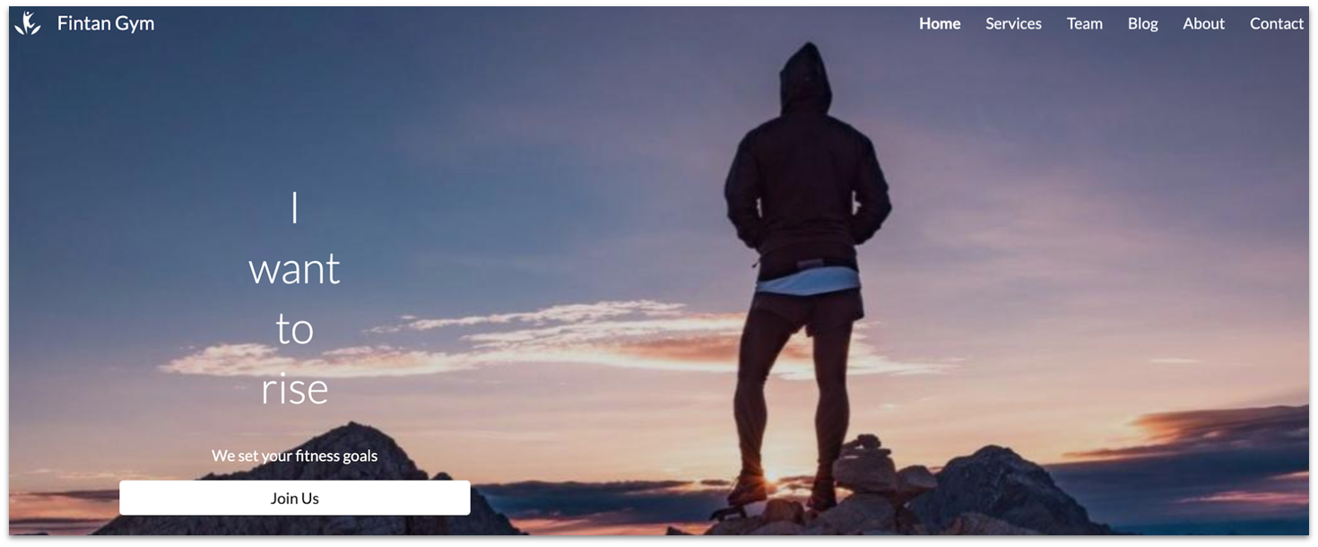 Steegle's Fintan Gym template homepage