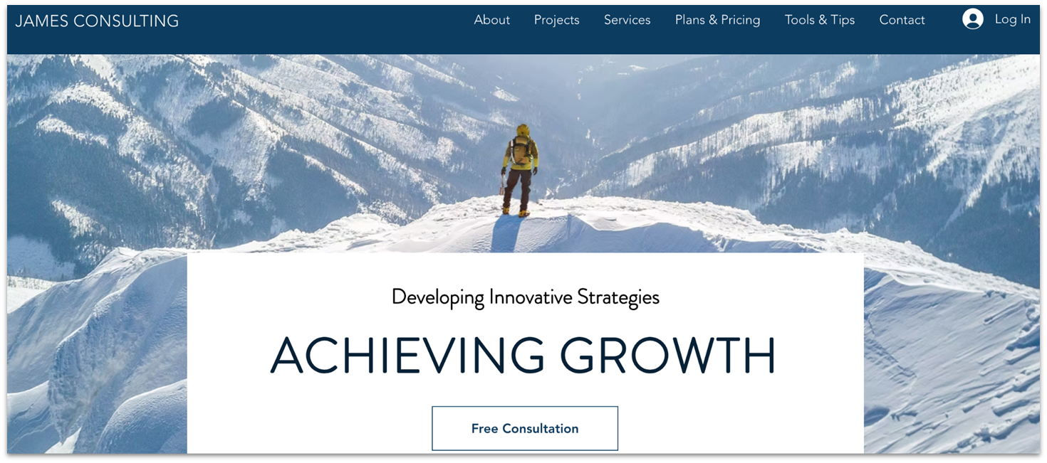 Wix's Consulting Business template homepage