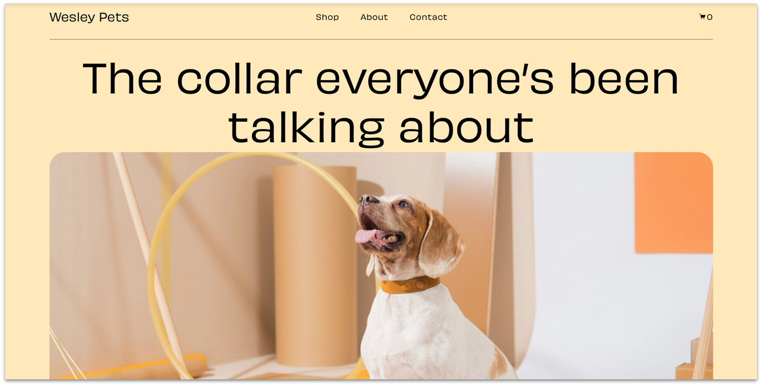 Squarespace Wesley template homepage