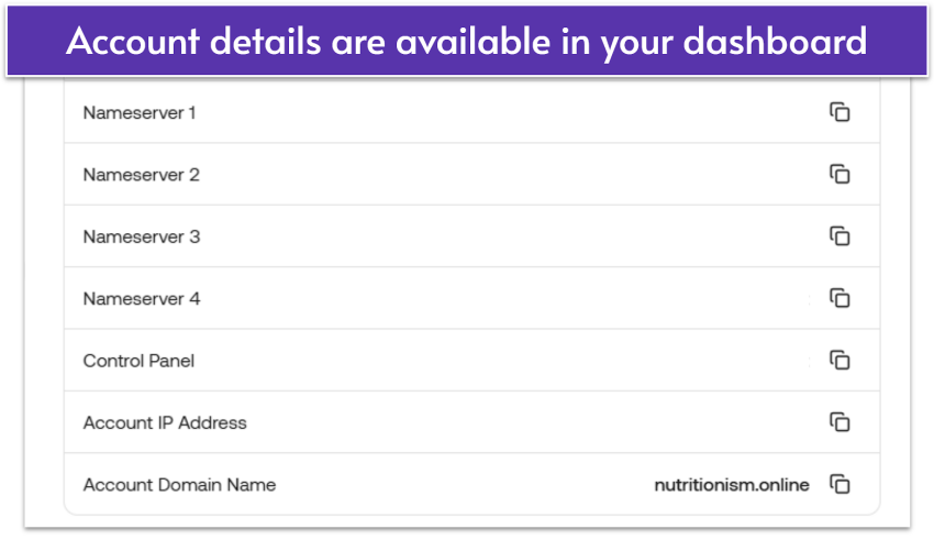 hosting.com account dashboard with nameserver information