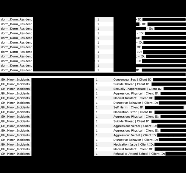 Gladney adoption data breach 4