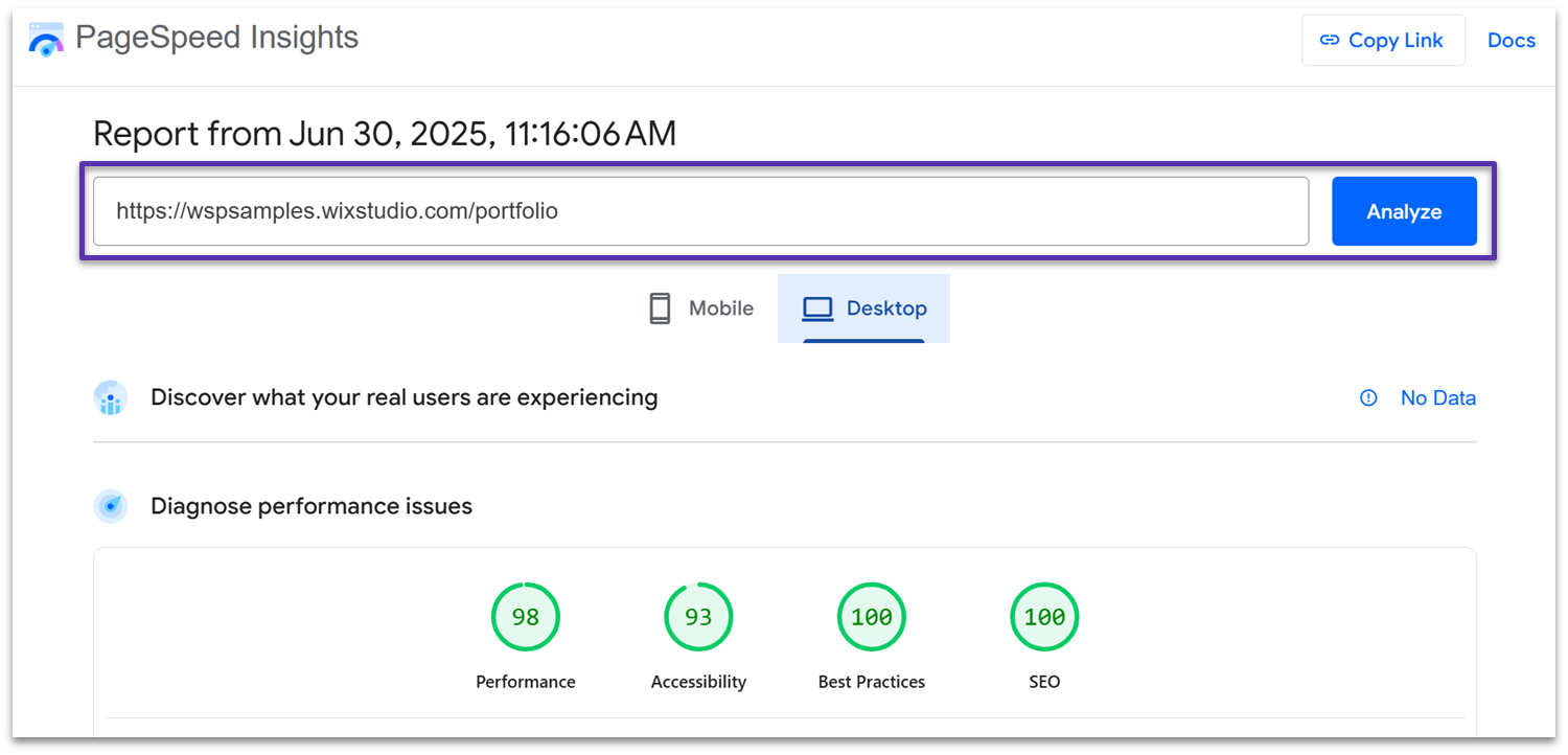 Google Lighthouse audit in PageSpeed Insights
