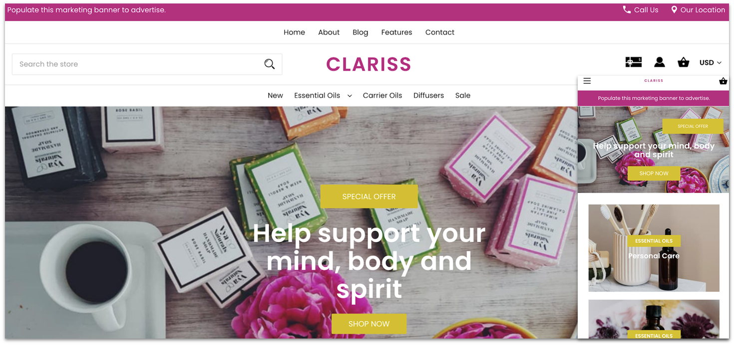 BigCommerce's template