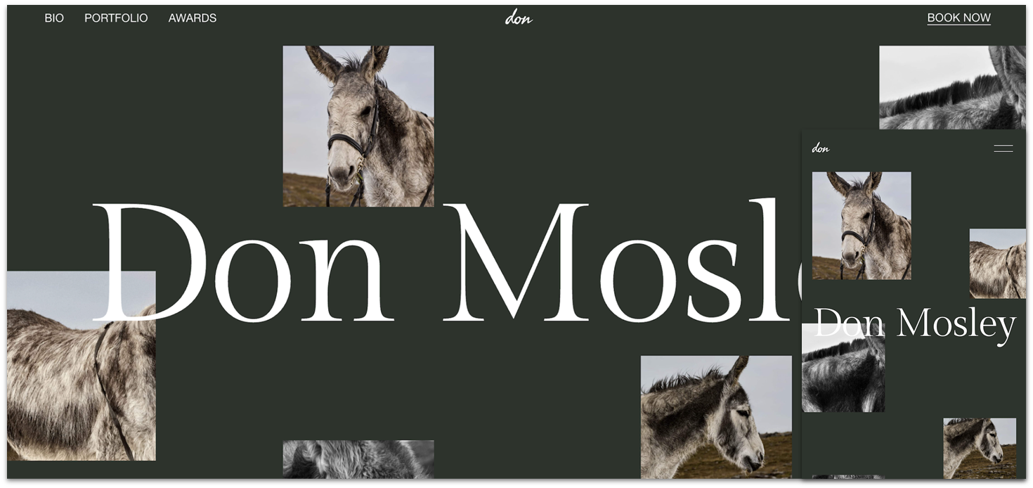 Squarespace's template