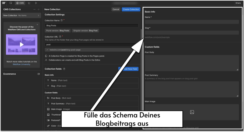 Webflow's CMS Collections settings