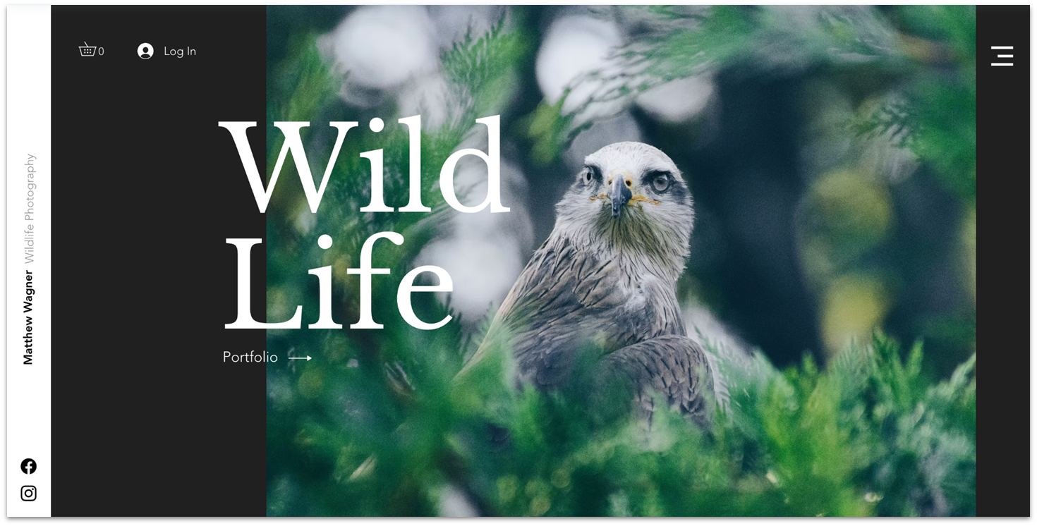 Wix's wildlife photography template homepage