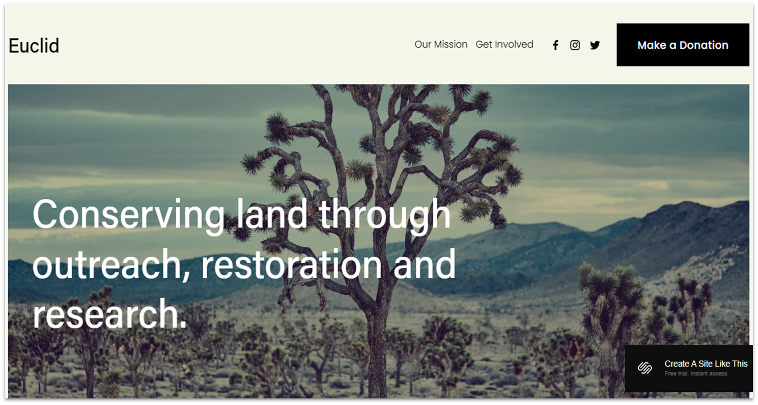 Homepage of a Squarespace template for nonprofits.