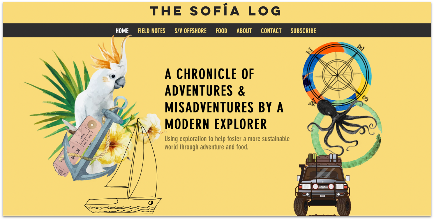Wix built Sofía Log blog homepage with fun visuals and purpose statement.