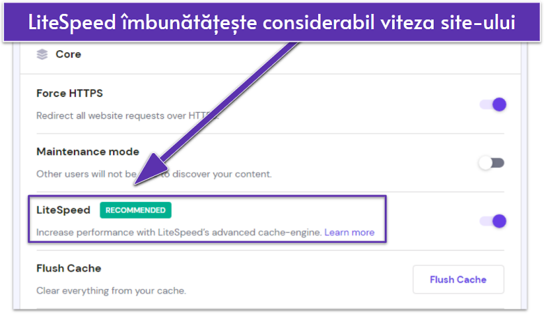 Screenshot displaying Hostinger's site settings with LiteSpeed enabled