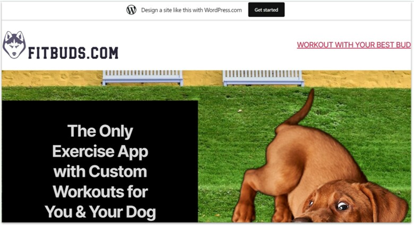 WordPress.com free website example