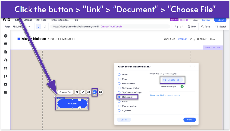 The Link settings in Wix Editor with “Document” selected to connect a resume file.