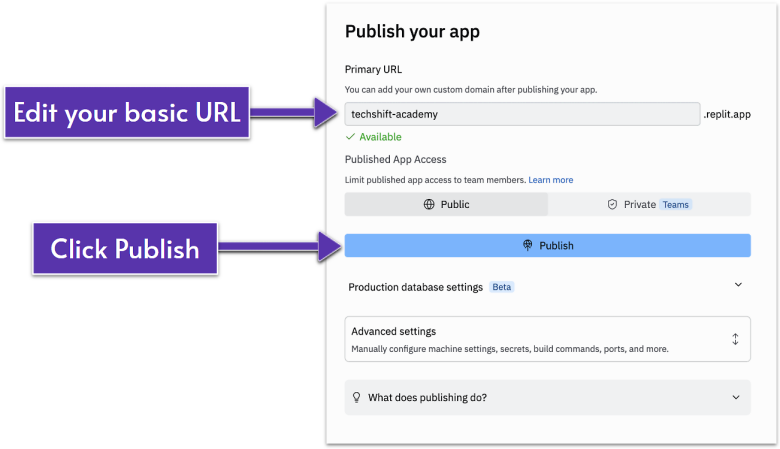 Replit's "Publish your app" screen.