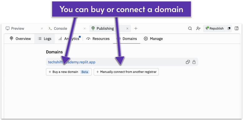 Replit's domain section showing buttons for buying and connecting domains.