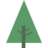 forest tree