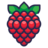 raspberry